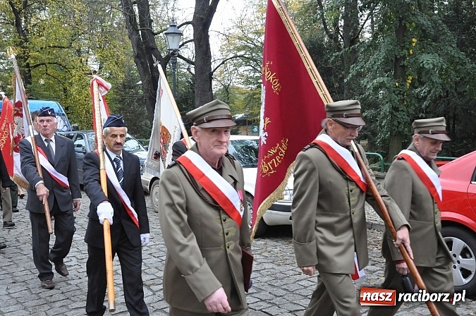 Zdjęcie w galerii na portalu naszraciborz.pl: Polskie sokoły zjechały na raciborski zamek wiadomości z regionu