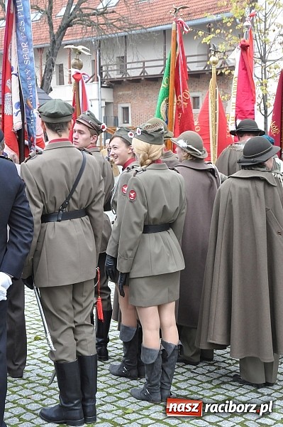 Zdjęcie w galerii na portalu naszraciborz.pl: Polskie sokoły zjechały na raciborski zamek wiadomości z regionu