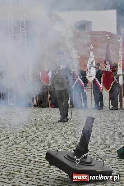 Zdjęcie w galerii na portalu naszraciborz.pl: Polskie sokoły zjechały na raciborski zamek wiadomości z regionu