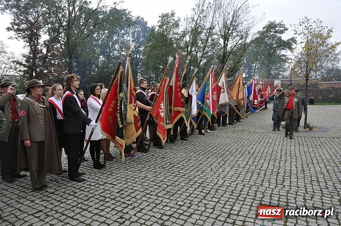 Zdjęcie w galerii na portalu naszraciborz.pl: Polskie sokoły zjechały na raciborski zamek wiadomości z regionu