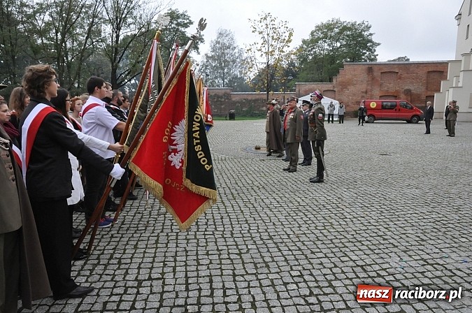 Zdjęcie w galerii na portalu naszraciborz.pl: Polskie sokoły zjechały na raciborski zamek wiadomości z regionu