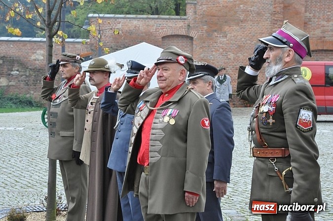 Zdjęcie w galerii na portalu naszraciborz.pl: Polskie sokoły zjechały na raciborski zamek wiadomości z regionu