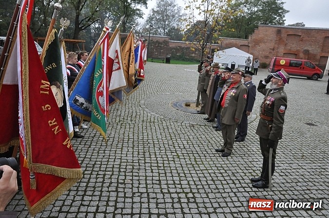 Zdjęcie w galerii na portalu naszraciborz.pl: Polskie sokoły zjechały na raciborski zamek wiadomości z regionu