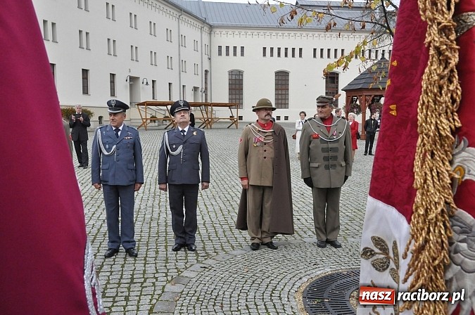 Zdjęcie w galerii na portalu naszraciborz.pl: Polskie sokoły zjechały na raciborski zamek wiadomości z regionu