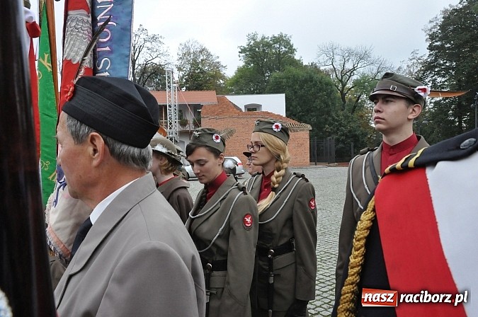 Zdjęcie w galerii na portalu naszraciborz.pl: Polskie sokoły zjechały na raciborski zamek wiadomości z regionu