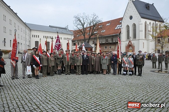 Zdjęcie w galerii na portalu naszraciborz.pl: Polskie sokoły zjechały na raciborski zamek wiadomości z regionu