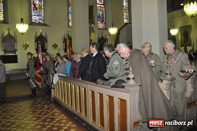 Zdjęcie w galerii na portalu naszraciborz.pl: Polskie sokoły zjechały na raciborski zamek wiadomości z regionu