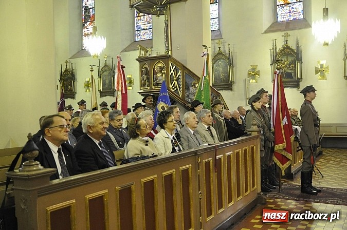 Zdjęcie w galerii na portalu naszraciborz.pl: Polskie sokoły zjechały na raciborski zamek wiadomości z regionu