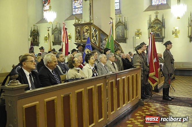 Zdjęcie w galerii na portalu naszraciborz.pl: Polskie sokoły zjechały na raciborski zamek wiadomości z regionu