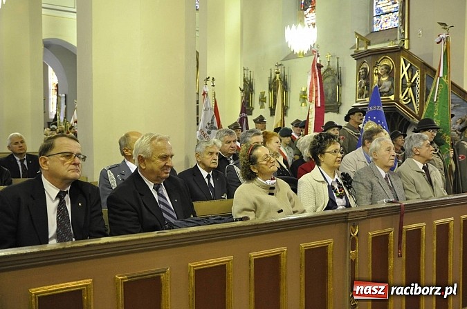 Zdjęcie w galerii na portalu naszraciborz.pl: Polskie sokoły zjechały na raciborski zamek wiadomości z regionu