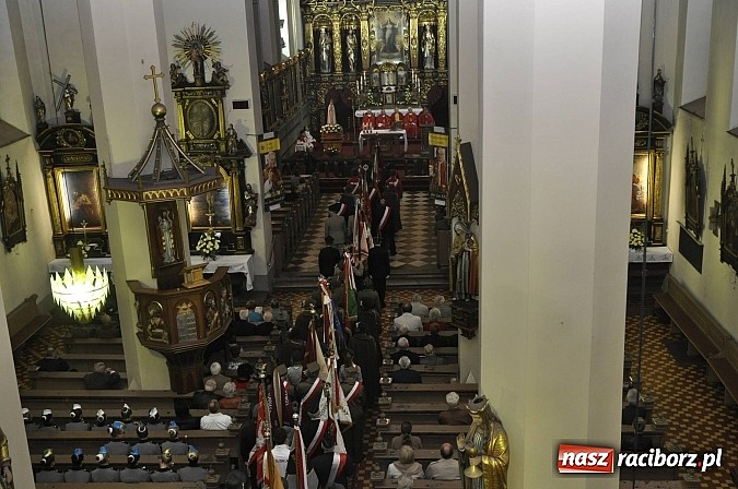 Zdjęcie w galerii na portalu naszraciborz.pl: Polskie sokoły zjechały na raciborski zamek wiadomości z regionu
