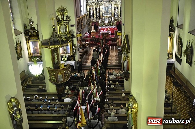 Zdjęcie w galerii na portalu naszraciborz.pl: Polskie sokoły zjechały na raciborski zamek wiadomości z regionu