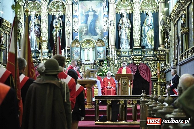 Zdjęcie w galerii na portalu naszraciborz.pl: Polskie sokoły zjechały na raciborski zamek wiadomości z regionu