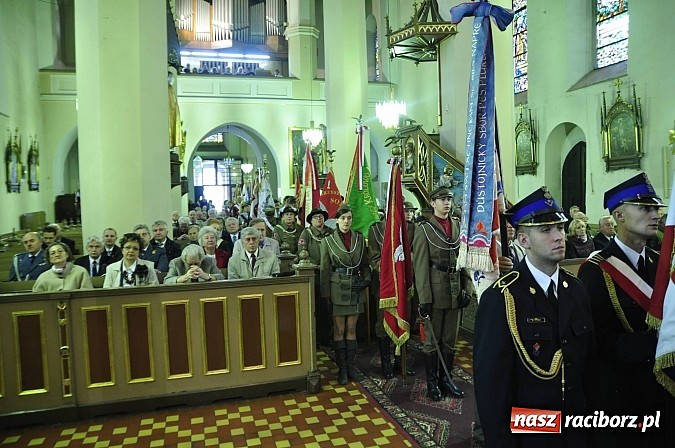 Zdjęcie w galerii na portalu naszraciborz.pl: Polskie sokoły zjechały na raciborski zamek wiadomości z regionu