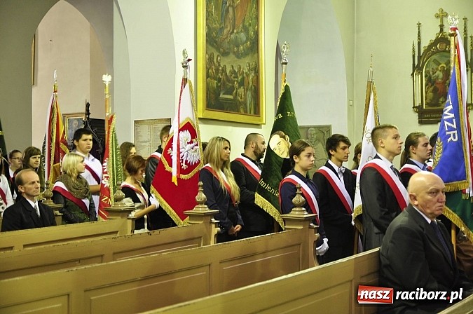 Zdjęcie w galerii na portalu naszraciborz.pl: Polskie sokoły zjechały na raciborski zamek wiadomości z regionu