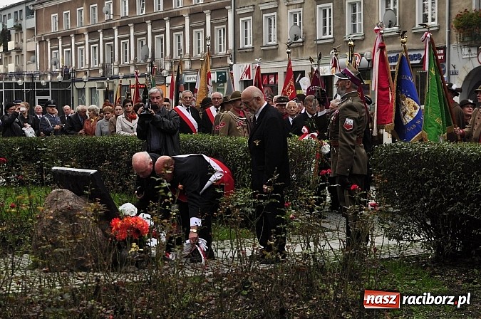 Zdjęcie w galerii na portalu naszraciborz.pl: Polskie sokoły zjechały na raciborski zamek wiadomości z regionu