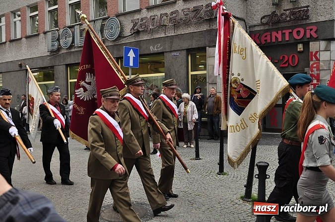 Zdjęcie w galerii na portalu naszraciborz.pl: Polskie sokoły zjechały na raciborski zamek wiadomości z regionu