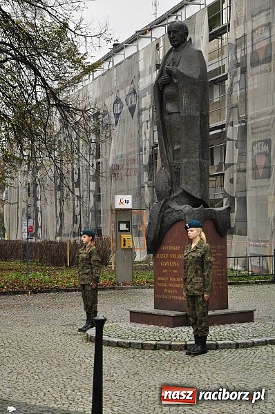Zdjęcie w galerii na portalu naszraciborz.pl: Polskie sokoły zjechały na raciborski zamek wiadomości z regionu