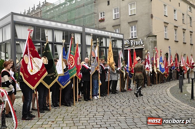Zdjęcie w galerii na portalu naszraciborz.pl: Polskie sokoły zjechały na raciborski zamek wiadomości z regionu