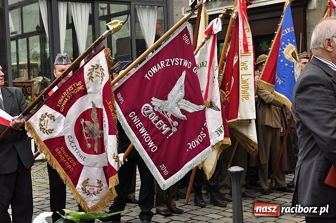 Zdjęcie w galerii na portalu naszraciborz.pl: Polskie sokoły zjechały na raciborski zamek wiadomości z regionu