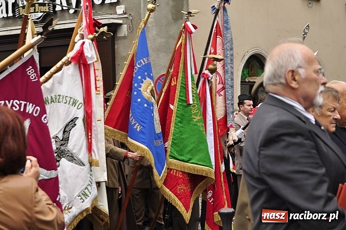 Zdjęcie w galerii na portalu naszraciborz.pl: Polskie sokoły zjechały na raciborski zamek wiadomości z regionu