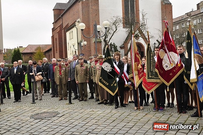 Zdjęcie w galerii na portalu naszraciborz.pl: Polskie sokoły zjechały na raciborski zamek wiadomości z regionu
