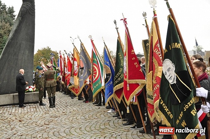 Zdjęcie w galerii na portalu naszraciborz.pl: Polskie sokoły zjechały na raciborski zamek wiadomości z regionu