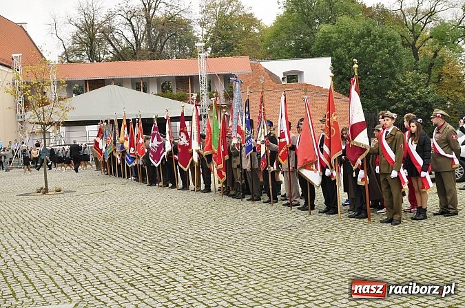 Zdjęcie w galerii na portalu naszraciborz.pl: Polskie sokoły zjechały na raciborski zamek wiadomości z regionu