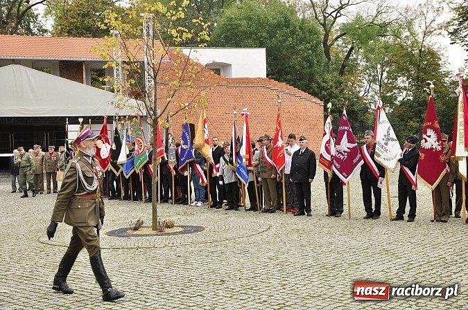 Zdjęcie w galerii na portalu naszraciborz.pl: Polskie sokoły zjechały na raciborski zamek wiadomości z regionu