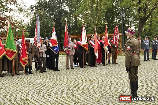Zdjęcie w galerii na portalu naszraciborz.pl: Polskie sokoły zjechały na raciborski zamek wiadomości z regionu