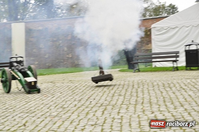 Zdjęcie w galerii na portalu naszraciborz.pl: Polskie sokoły zjechały na raciborski zamek wiadomości z regionu