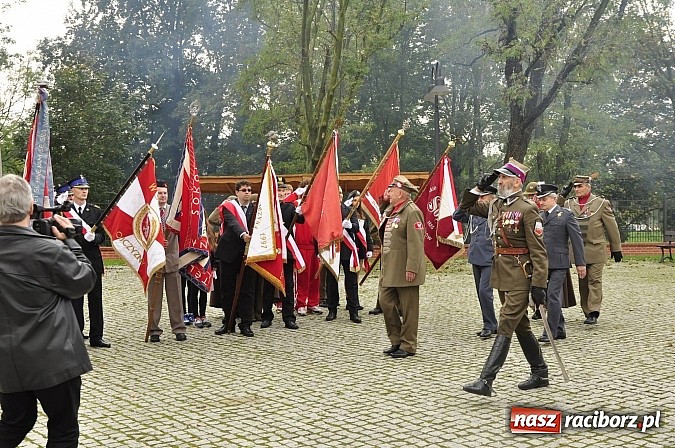 Zdjęcie w galerii na portalu naszraciborz.pl: Polskie sokoły zjechały na raciborski zamek wiadomości z regionu