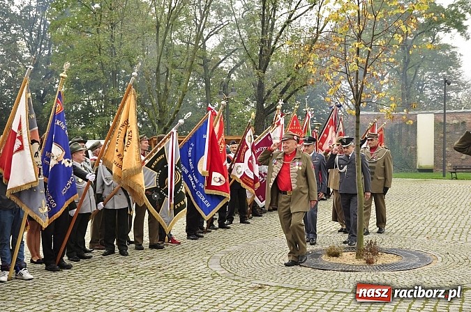 Zdjęcie w galerii na portalu naszraciborz.pl: Polskie sokoły zjechały na raciborski zamek wiadomości z regionu