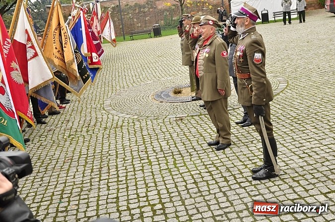 Zdjęcie w galerii na portalu naszraciborz.pl: Polskie sokoły zjechały na raciborski zamek wiadomości z regionu