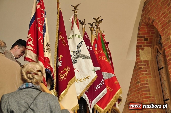 Zdjęcie w galerii na portalu naszraciborz.pl: Polskie sokoły zjechały na raciborski zamek wiadomości z regionu