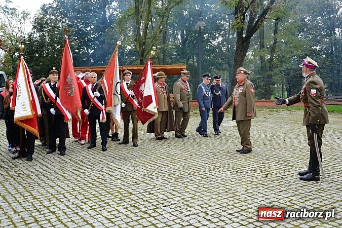 Zdjęcie w galerii na portalu naszraciborz.pl: Polskie sokoły zjechały na raciborski zamek wiadomości z regionu