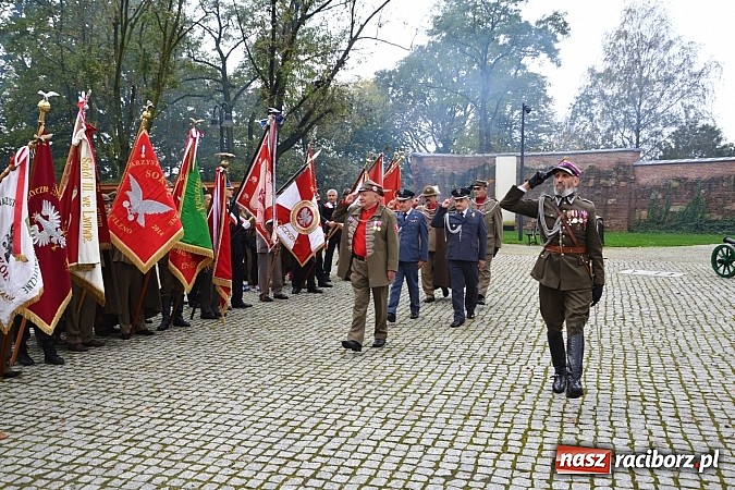 Zdjęcie w galerii na portalu naszraciborz.pl: Polskie sokoły zjechały na raciborski zamek wiadomości z regionu