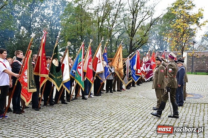 Zdjęcie w galerii na portalu naszraciborz.pl: Polskie sokoły zjechały na raciborski zamek wiadomości z regionu