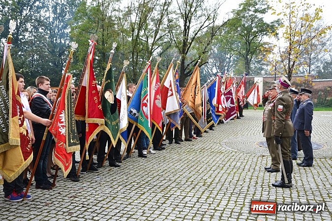 Zdjęcie w galerii na portalu naszraciborz.pl: Polskie sokoły zjechały na raciborski zamek wiadomości z regionu