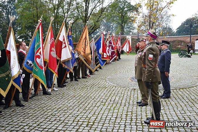 Zdjęcie w galerii na portalu naszraciborz.pl: Polskie sokoły zjechały na raciborski zamek wiadomości z regionu