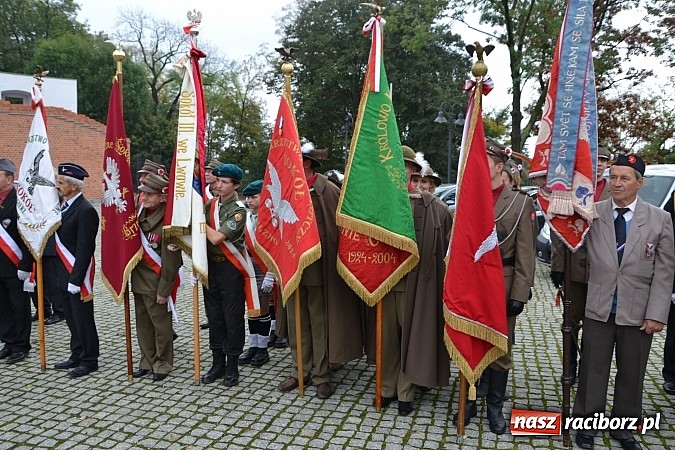 Zdjęcie w galerii na portalu naszraciborz.pl: Polskie sokoły zjechały na raciborski zamek wiadomości z regionu