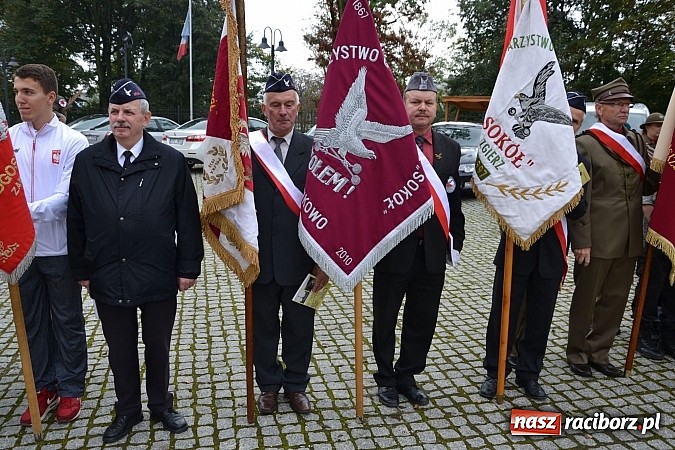 Zdjęcie w galerii na portalu naszraciborz.pl: Polskie sokoły zjechały na raciborski zamek wiadomości z regionu