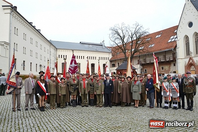 Zdjęcie w galerii na portalu naszraciborz.pl: Polskie sokoły zjechały na raciborski zamek wiadomości z regionu