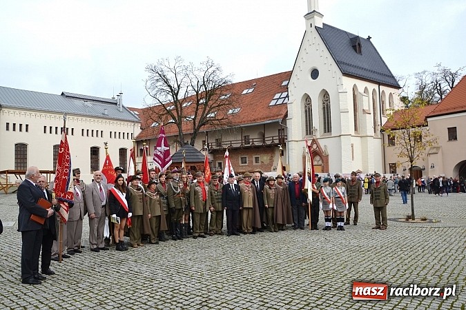 Zdjęcie w galerii na portalu naszraciborz.pl: Polskie sokoły zjechały na raciborski zamek wiadomości z regionu