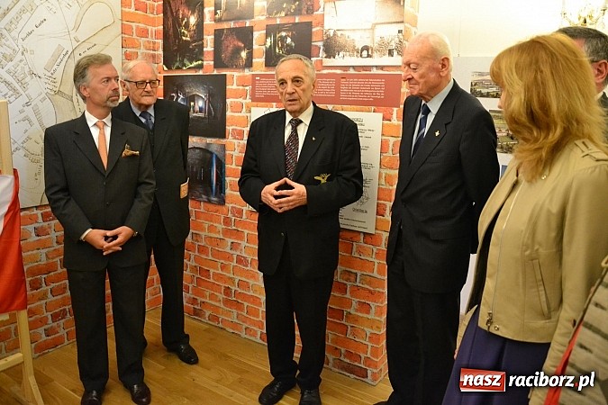 Zdjęcie w galerii na portalu naszraciborz.pl: Polskie sokoły zjechały na raciborski zamek wiadomości z regionu