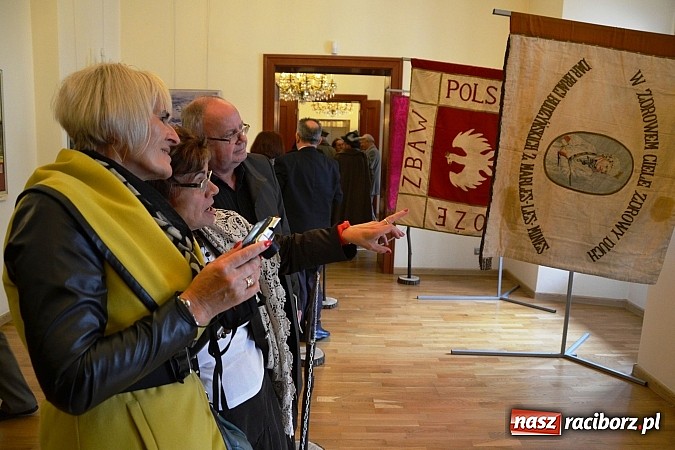 Zdjęcie w galerii na portalu naszraciborz.pl: Polskie sokoły zjechały na raciborski zamek wiadomości z regionu