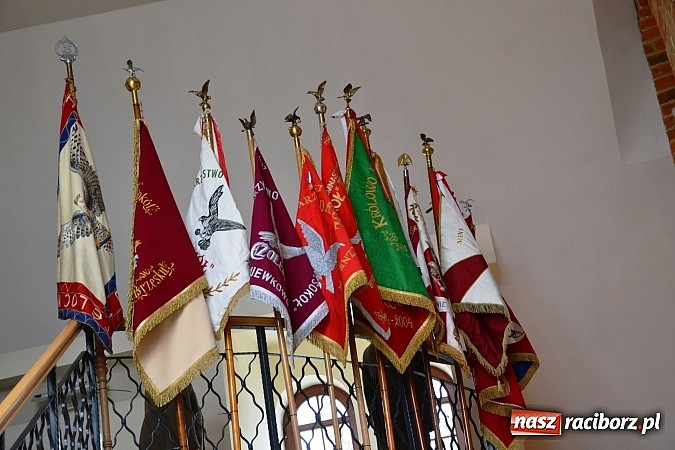 Zdjęcie w galerii na portalu naszraciborz.pl: Polskie sokoły zjechały na raciborski zamek wiadomości z regionu