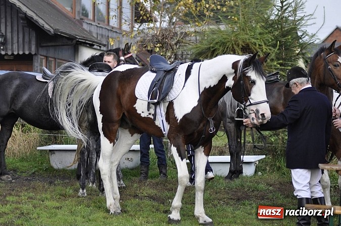 Zdjęcie w galerii na portalu naszraciborz.pl: Święto jeźdźców - hubertus na Budzinie wiadomości z regionu