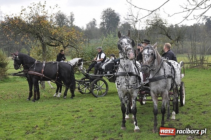 Zdjęcie w galerii na portalu naszraciborz.pl: Święto jeźdźców - hubertus na Budzinie wiadomości z regionu