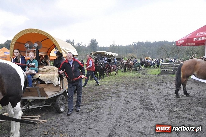 Zdjęcie w galerii na portalu naszraciborz.pl: Święto jeźdźców - hubertus na Budzinie wiadomości z regionu